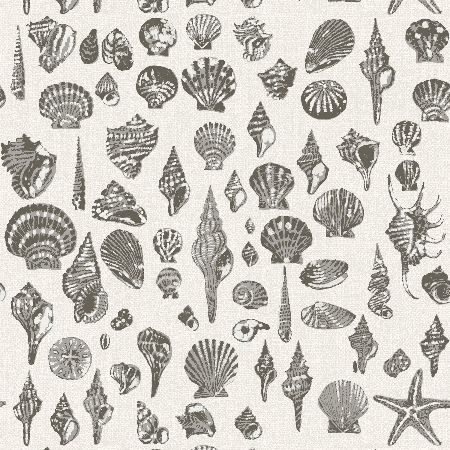 Mitchell Black x Megan Molten Lowcountry Love Shells Wallpaper