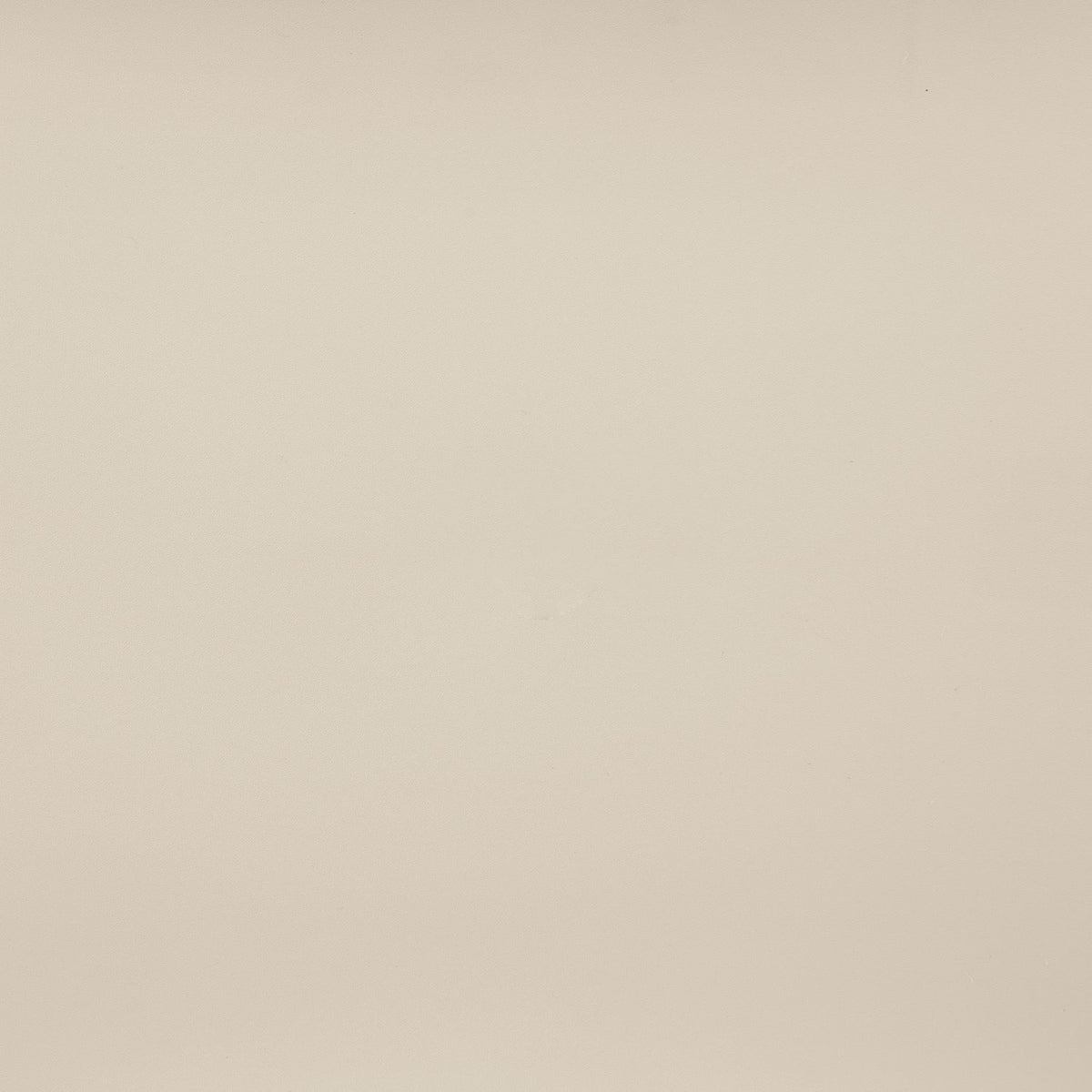 Warby Beige Vegan Leather Upholstered Bed