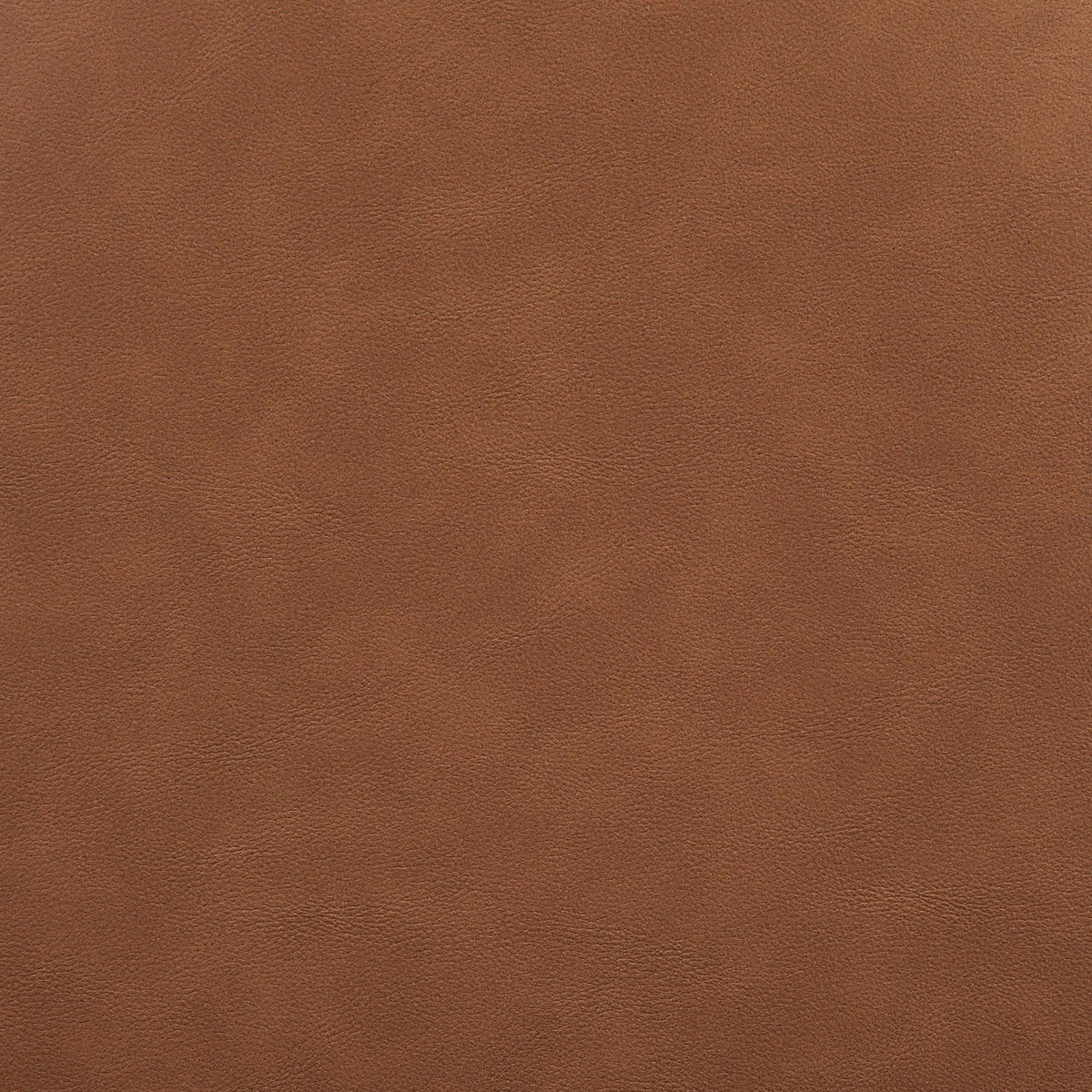 Warby Cognac Vegan Leather Upholstered Bed