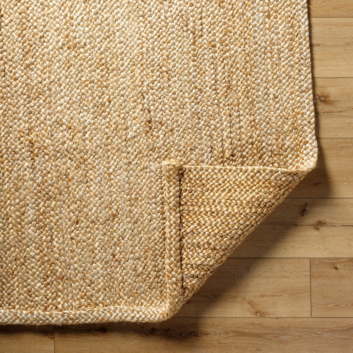 Surya Artesia AEA-2302 Hand Woven Rug