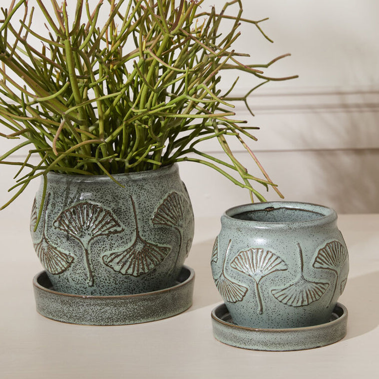 Biloba Pot with Saucer