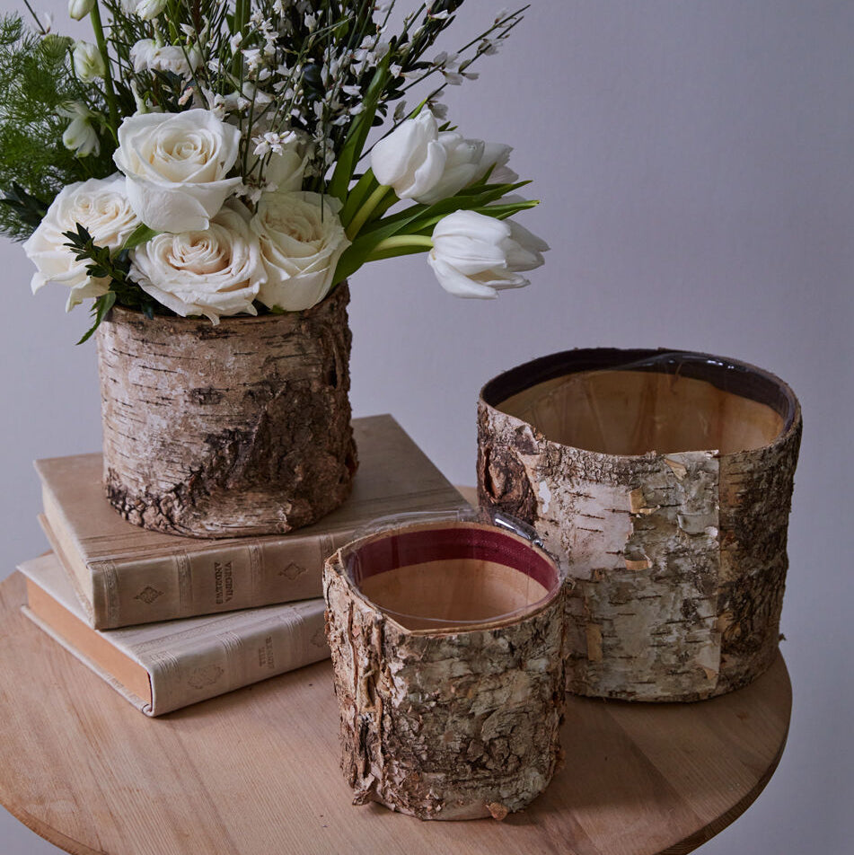 Birch Cylinder Pot