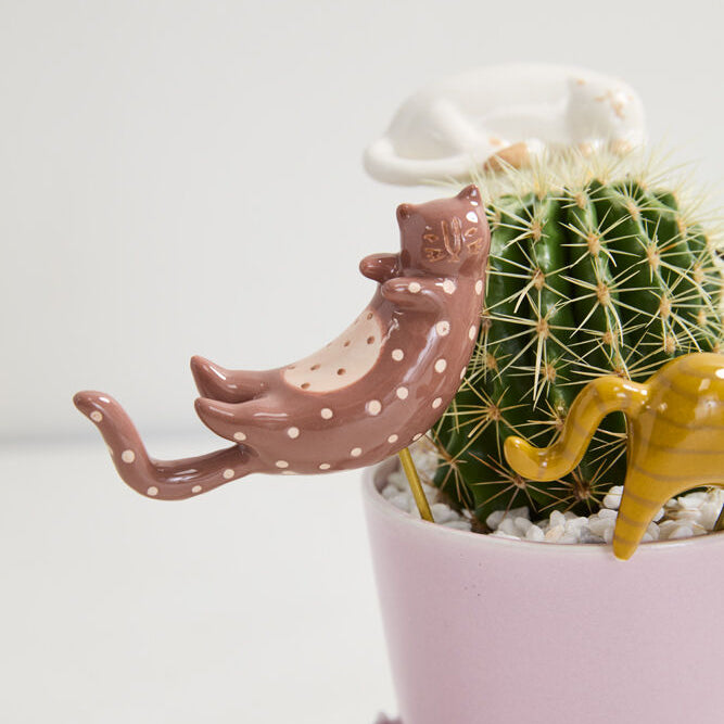 Curious Cats Plant Stick Set of 3