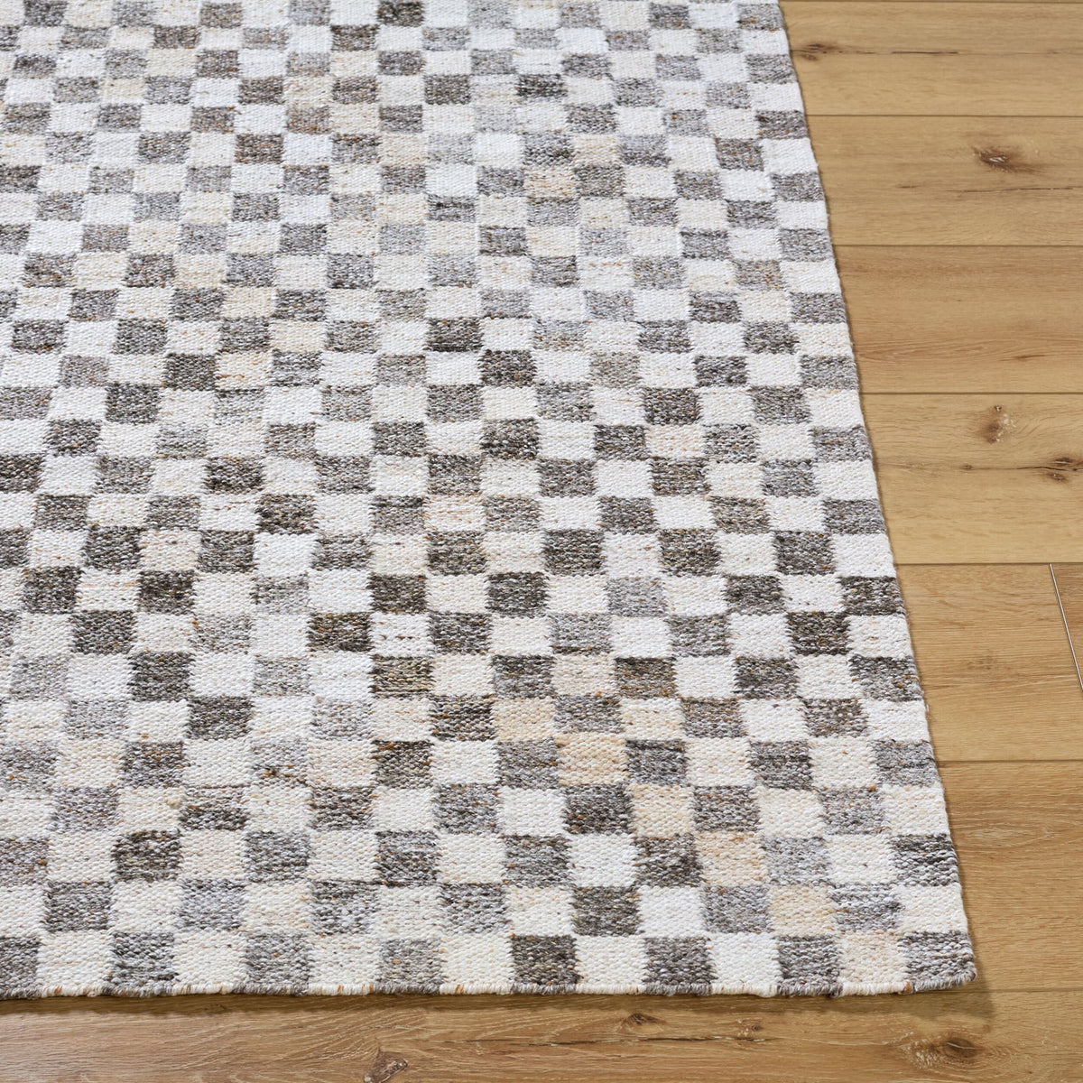 Surya Cusco CUS-2300 Hand Woven Indoor/Outdoor Rug