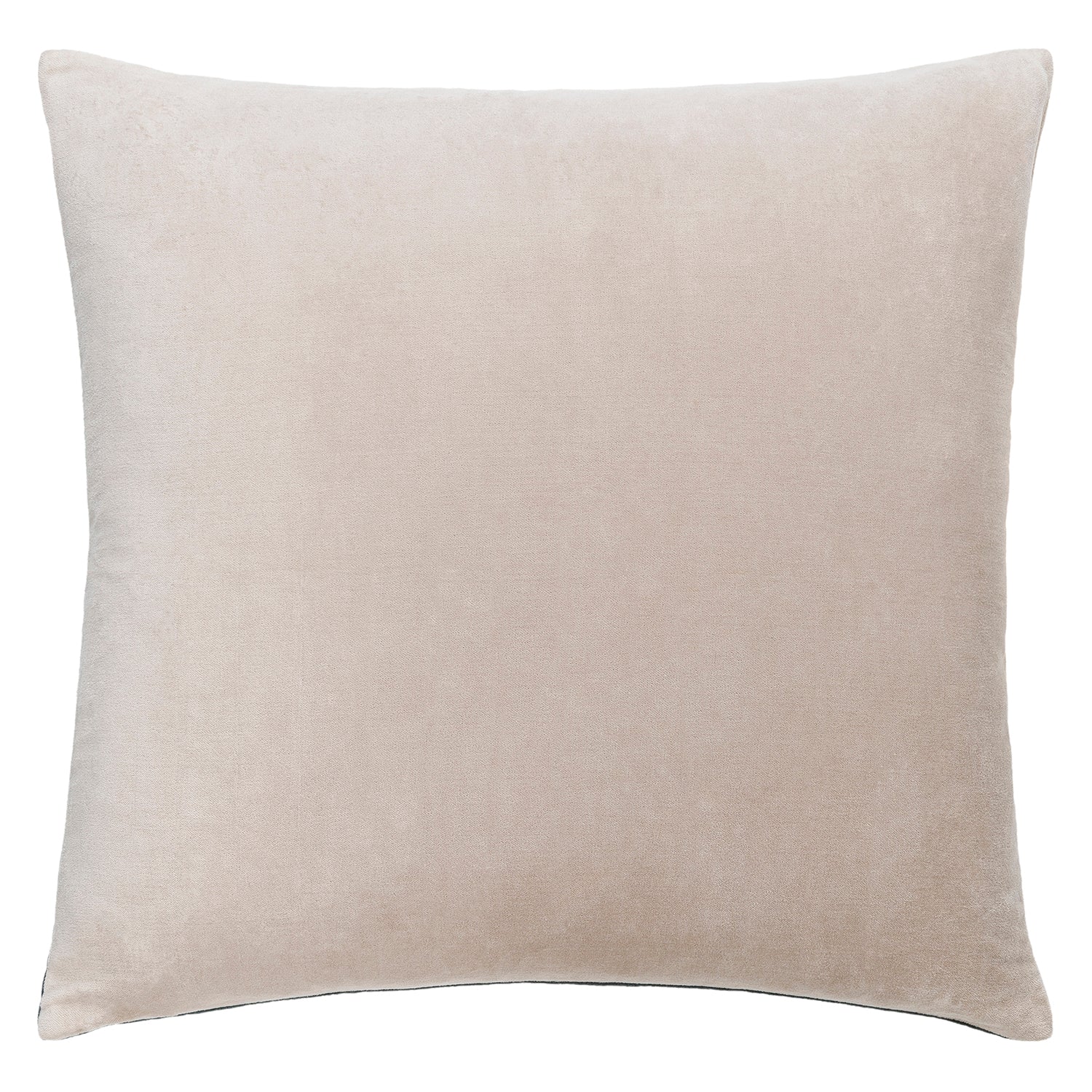 Cotton Velvet Drop Throw Pillow