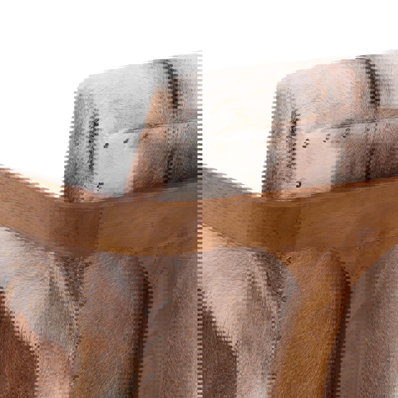 Bautista Brown Occasional Chair