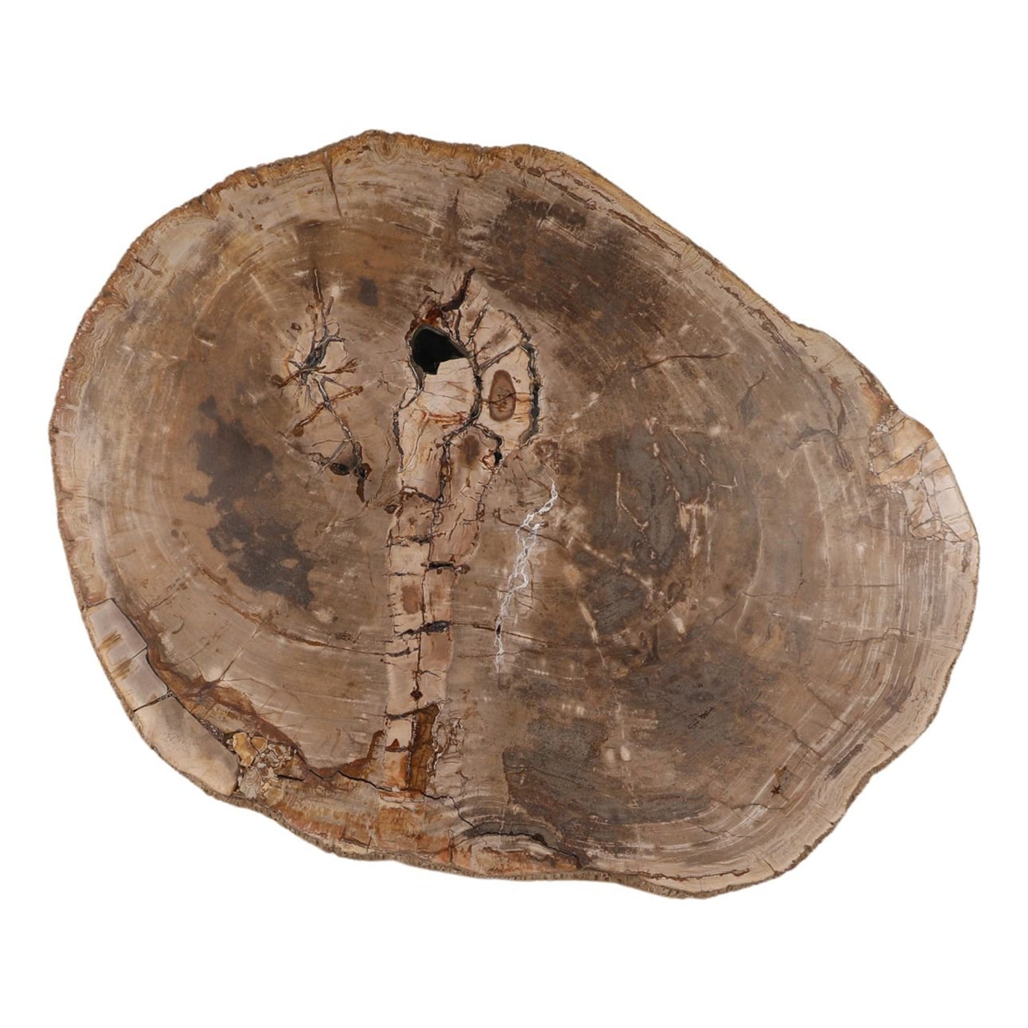 Arik Coffee Table