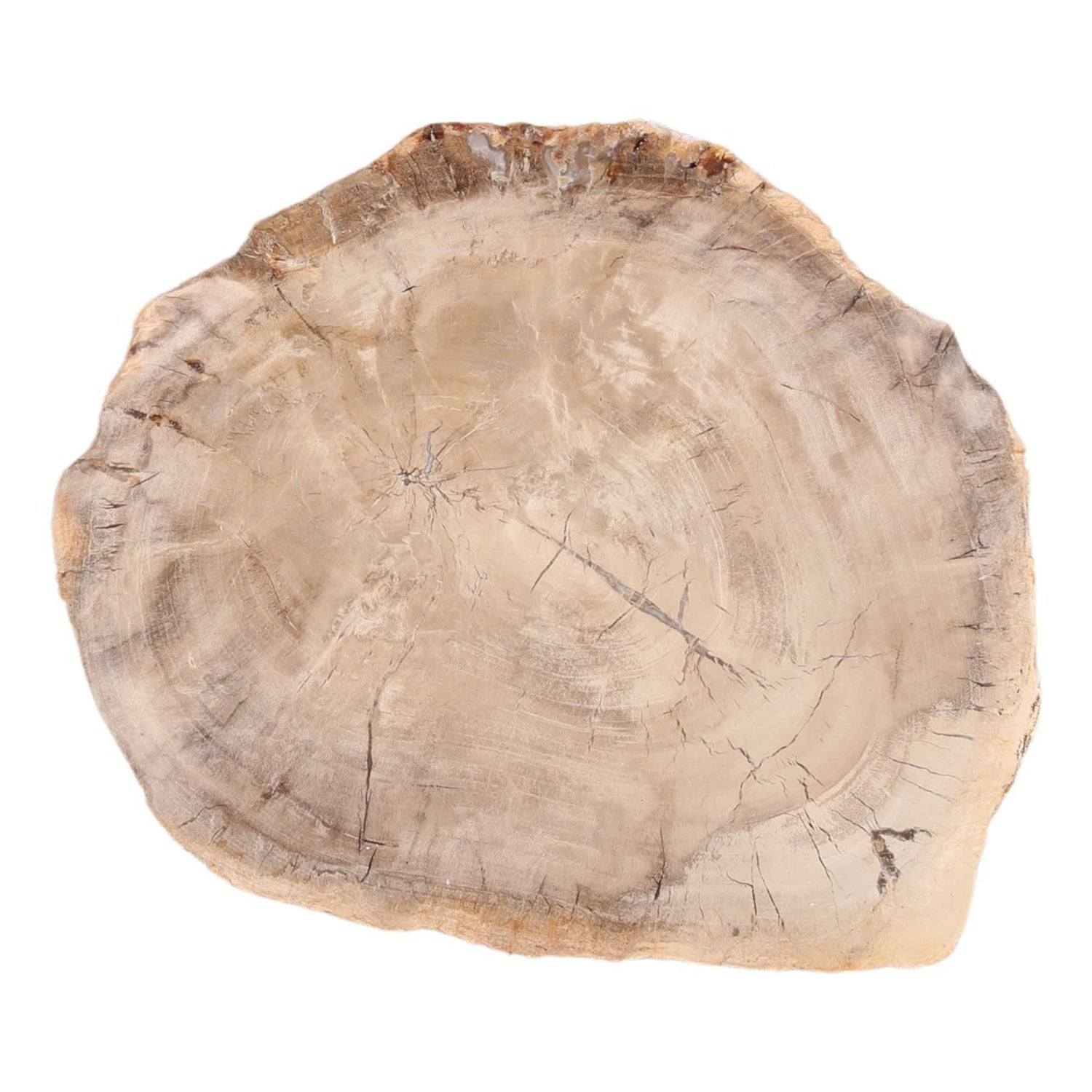 Basilia Tray