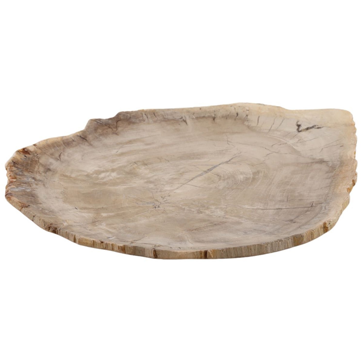 Basilia Tray