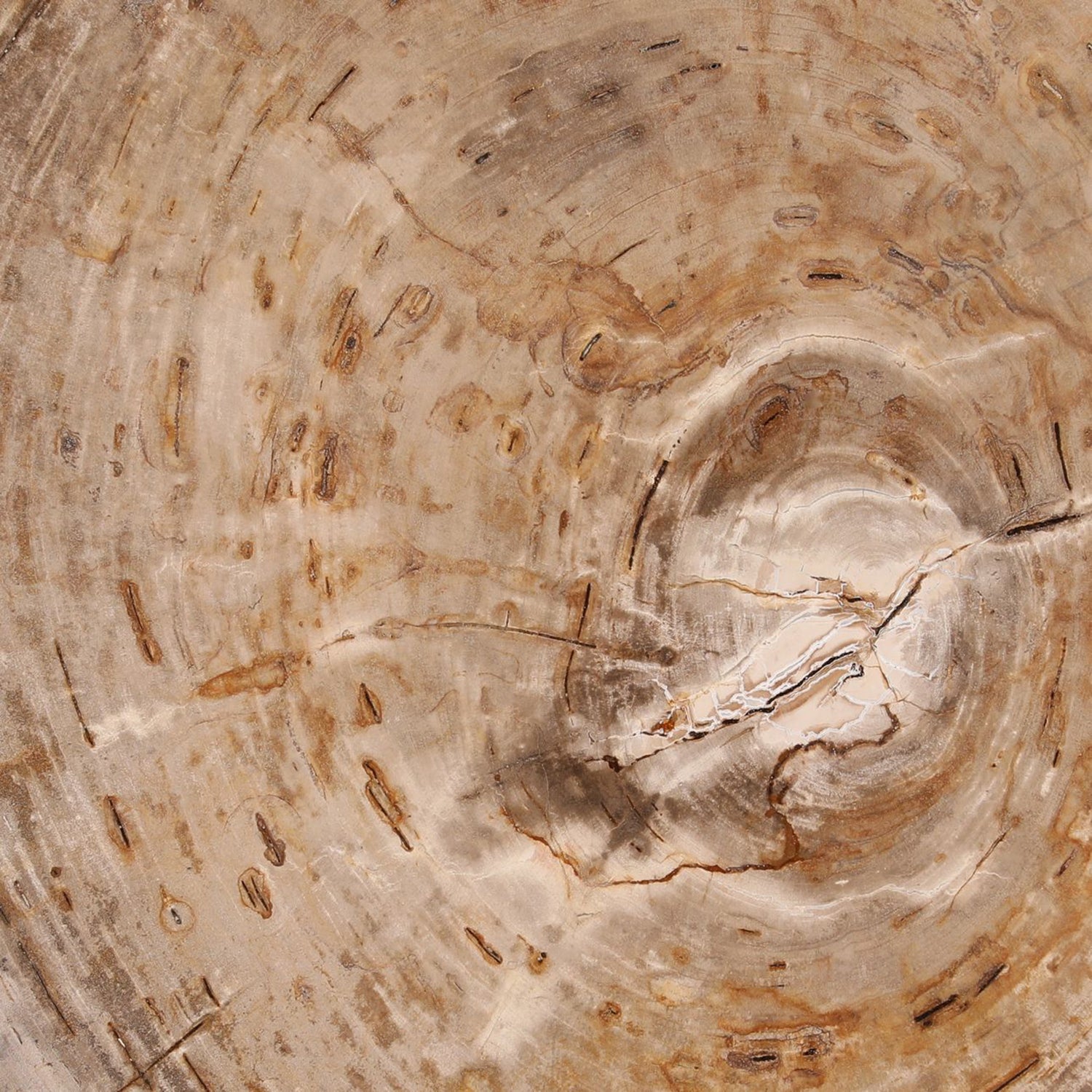 Sampson Coffee Table