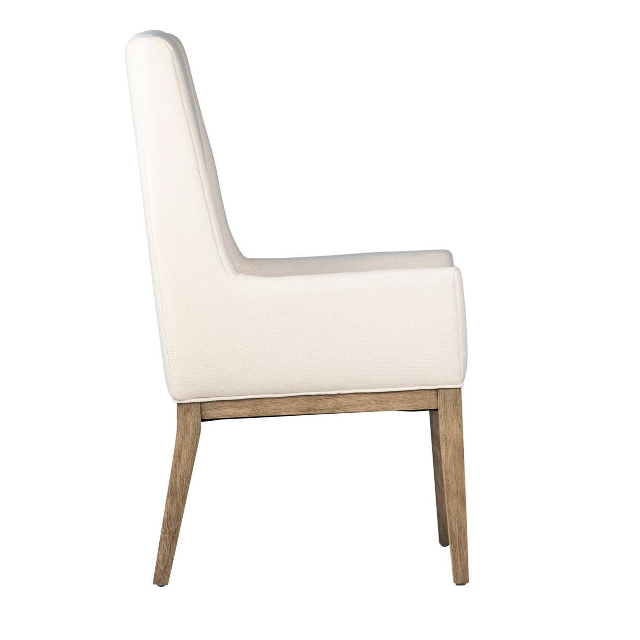 Mayne Dining Chair Set of 2