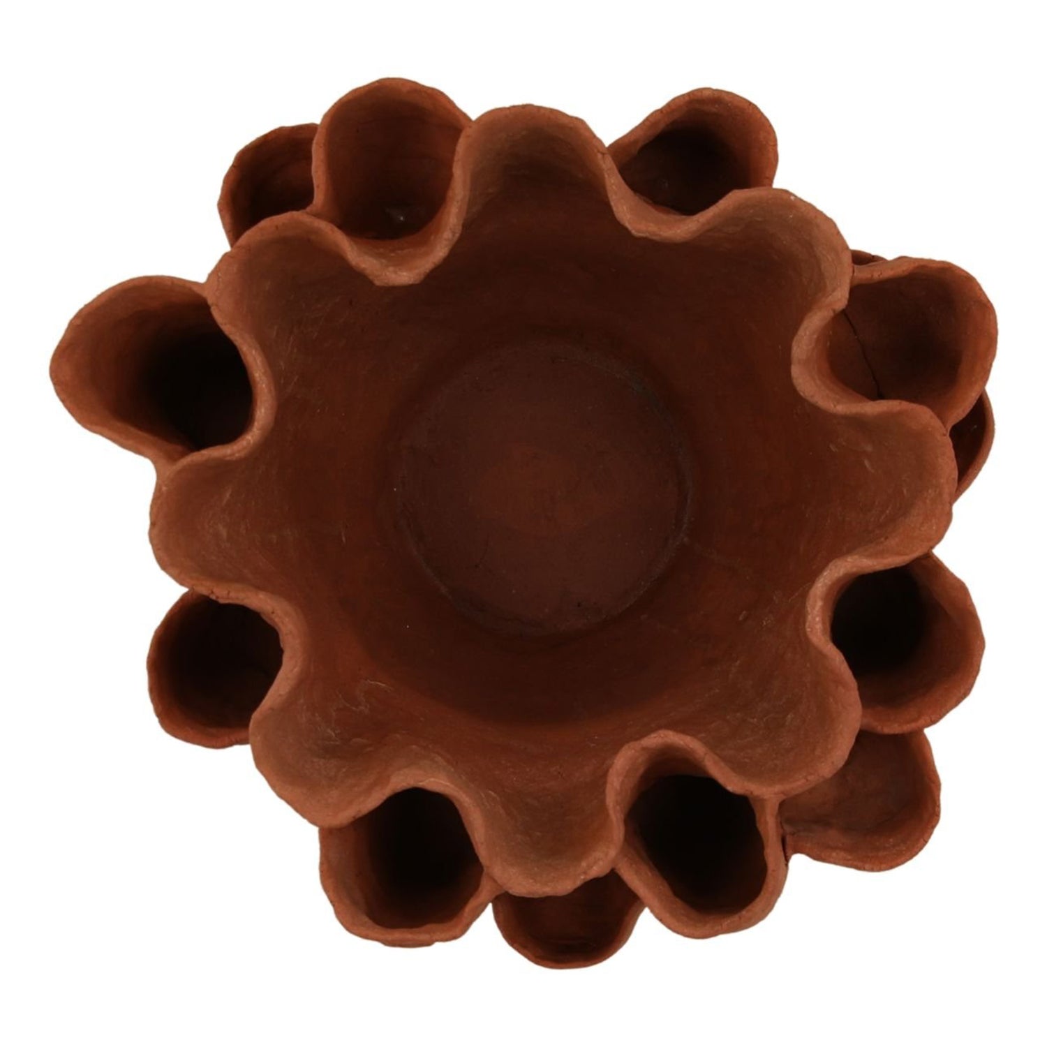 Coralia Vase