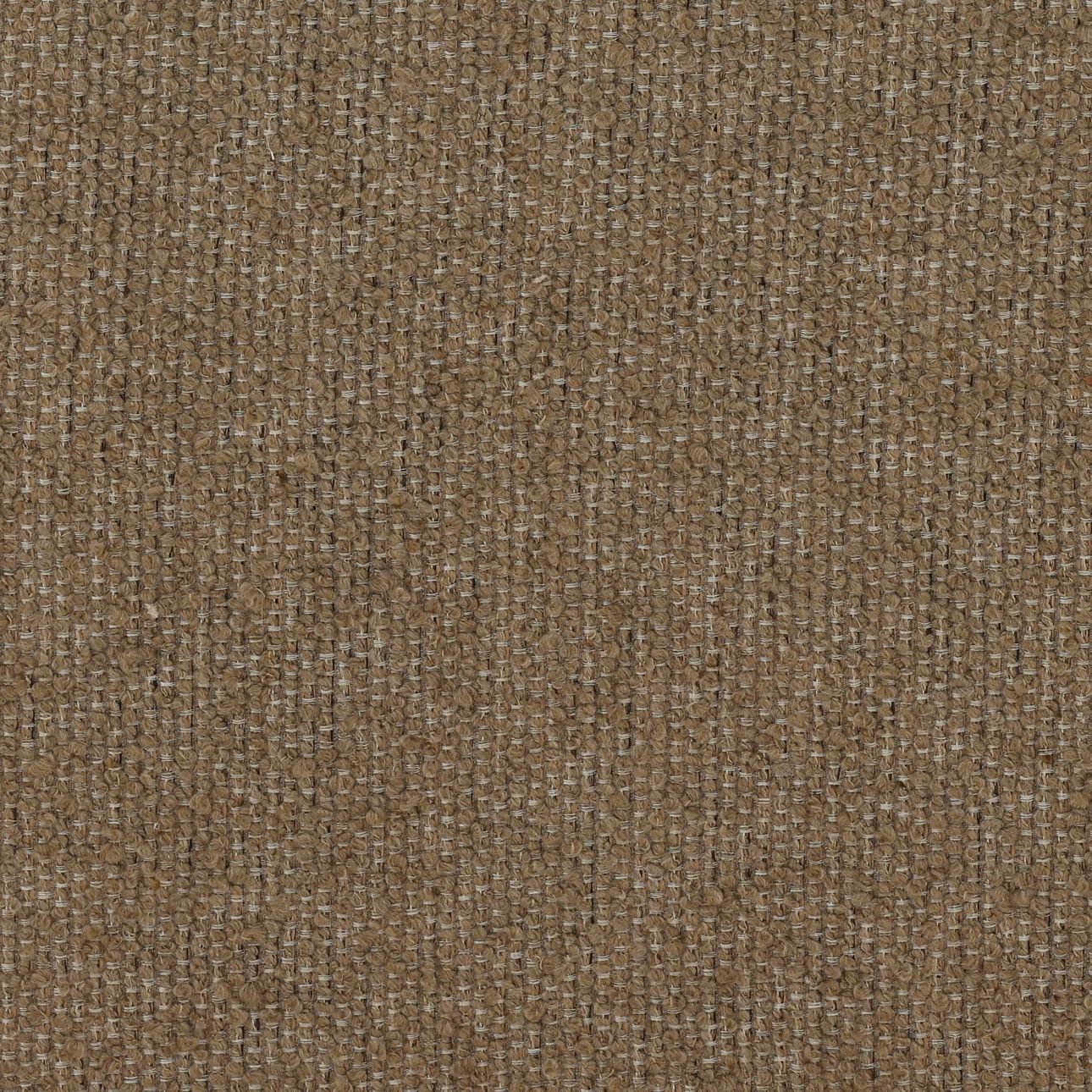 Zulia Occasional Chair