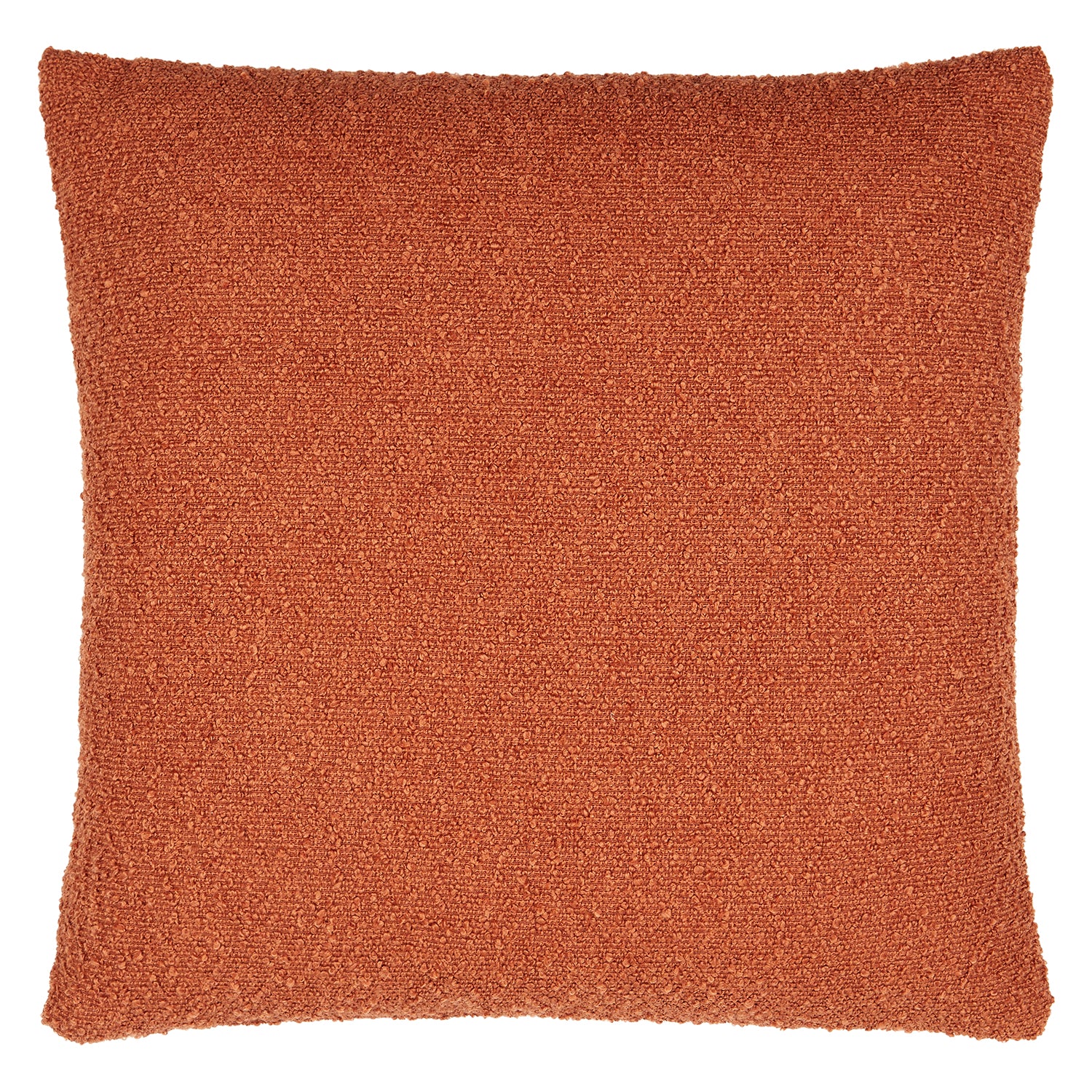 Eesha Solid Throw Pillow