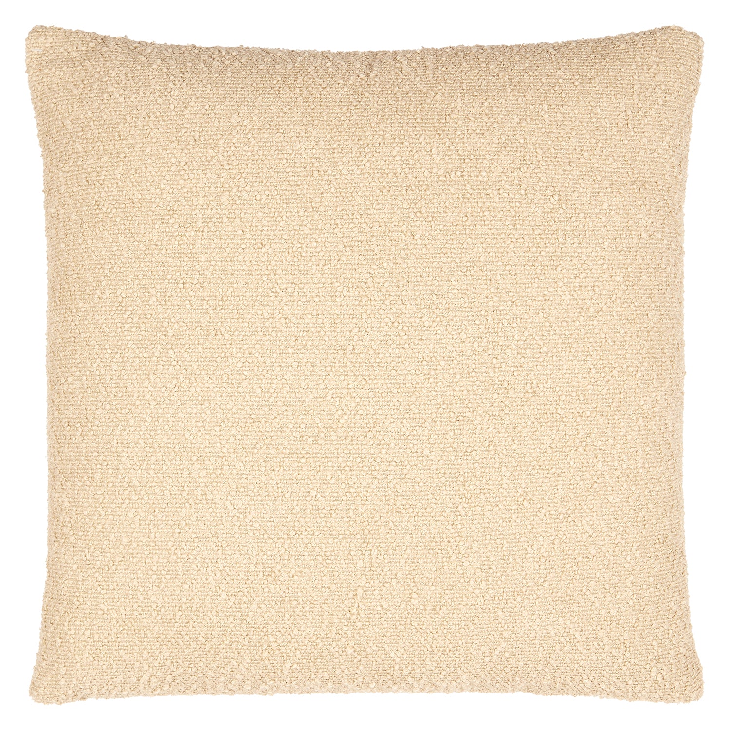 Eesha Solid Throw Pillow