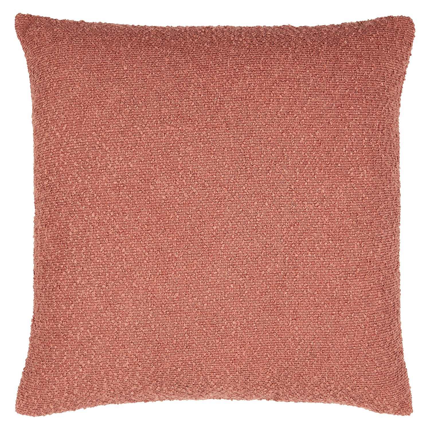 Eesha Solid Throw Pillow