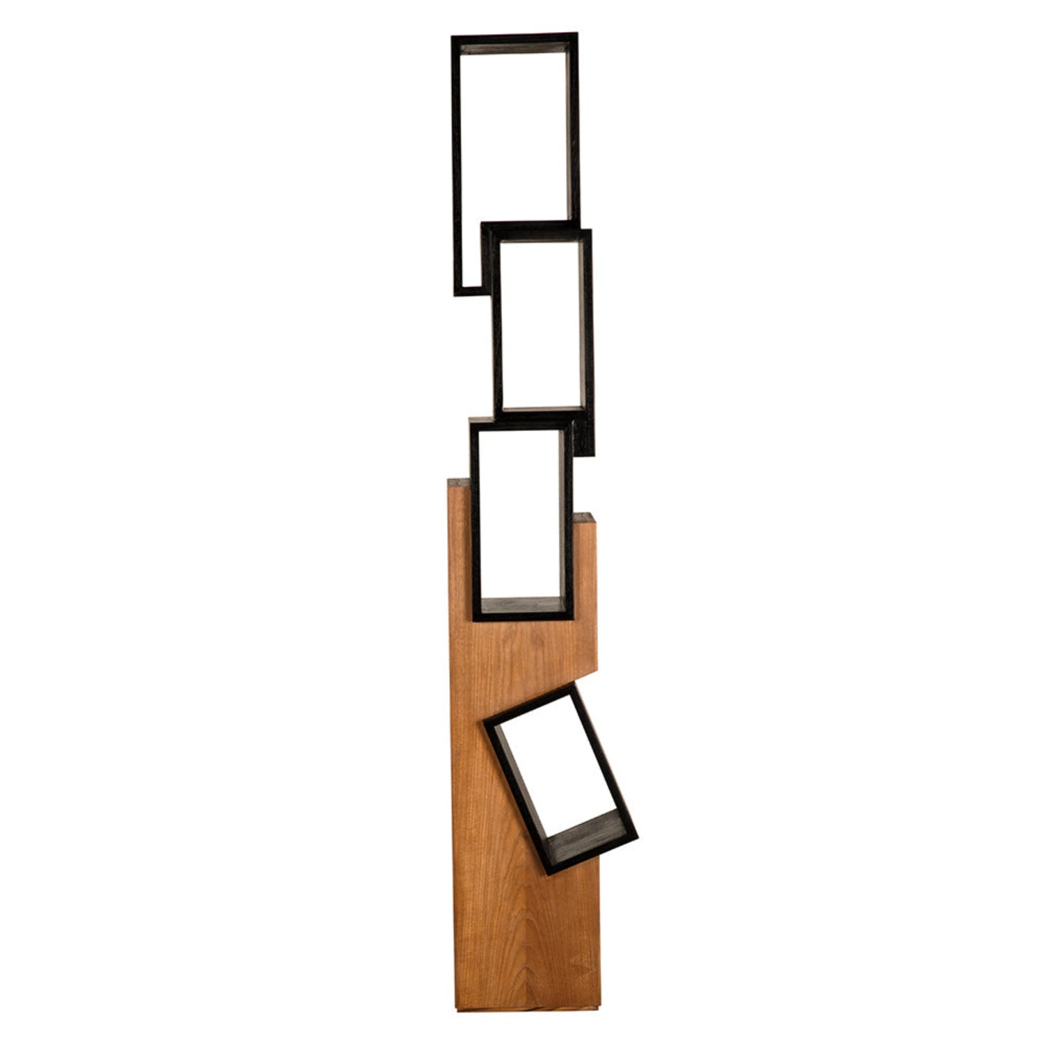 Charcoal Black and Clear Coat Flat Jackson Shelf by Noir