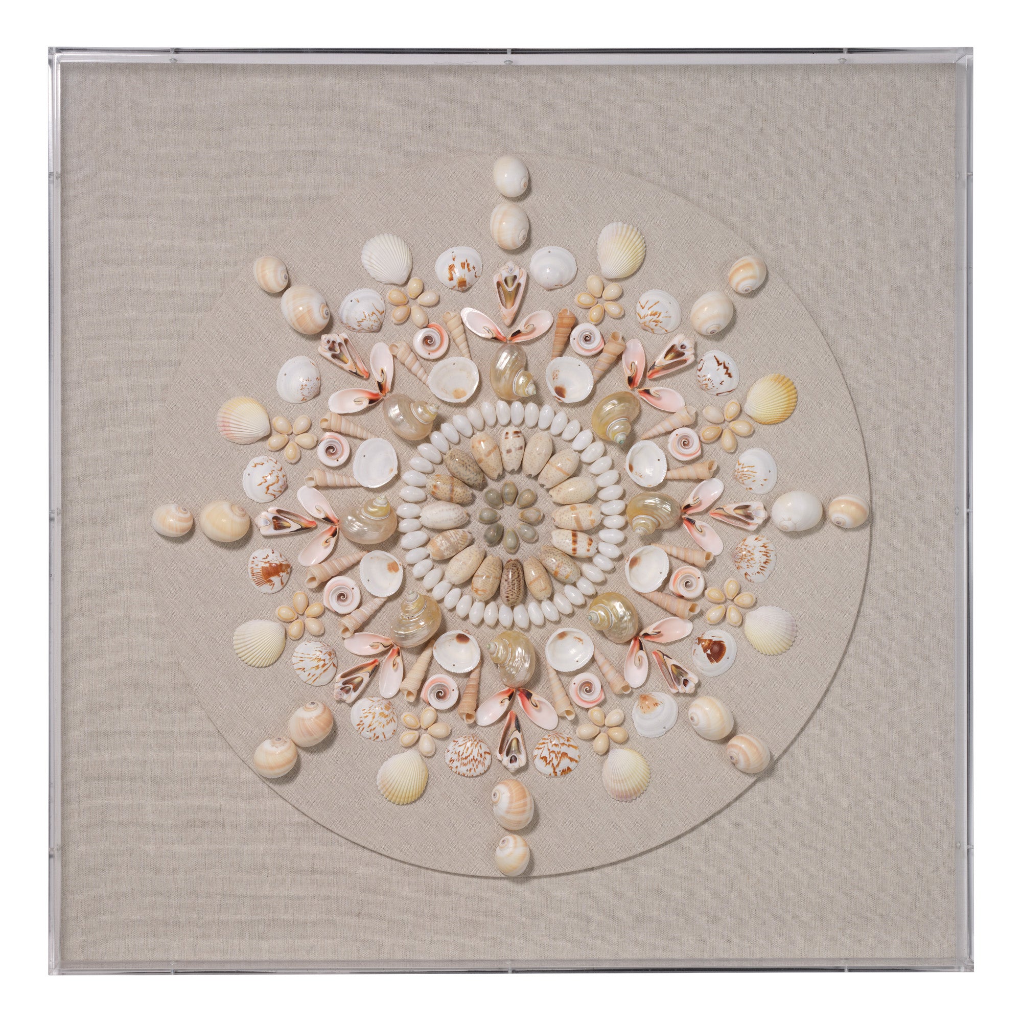 Jamie Young Seabrook Cream Shell Wall Art