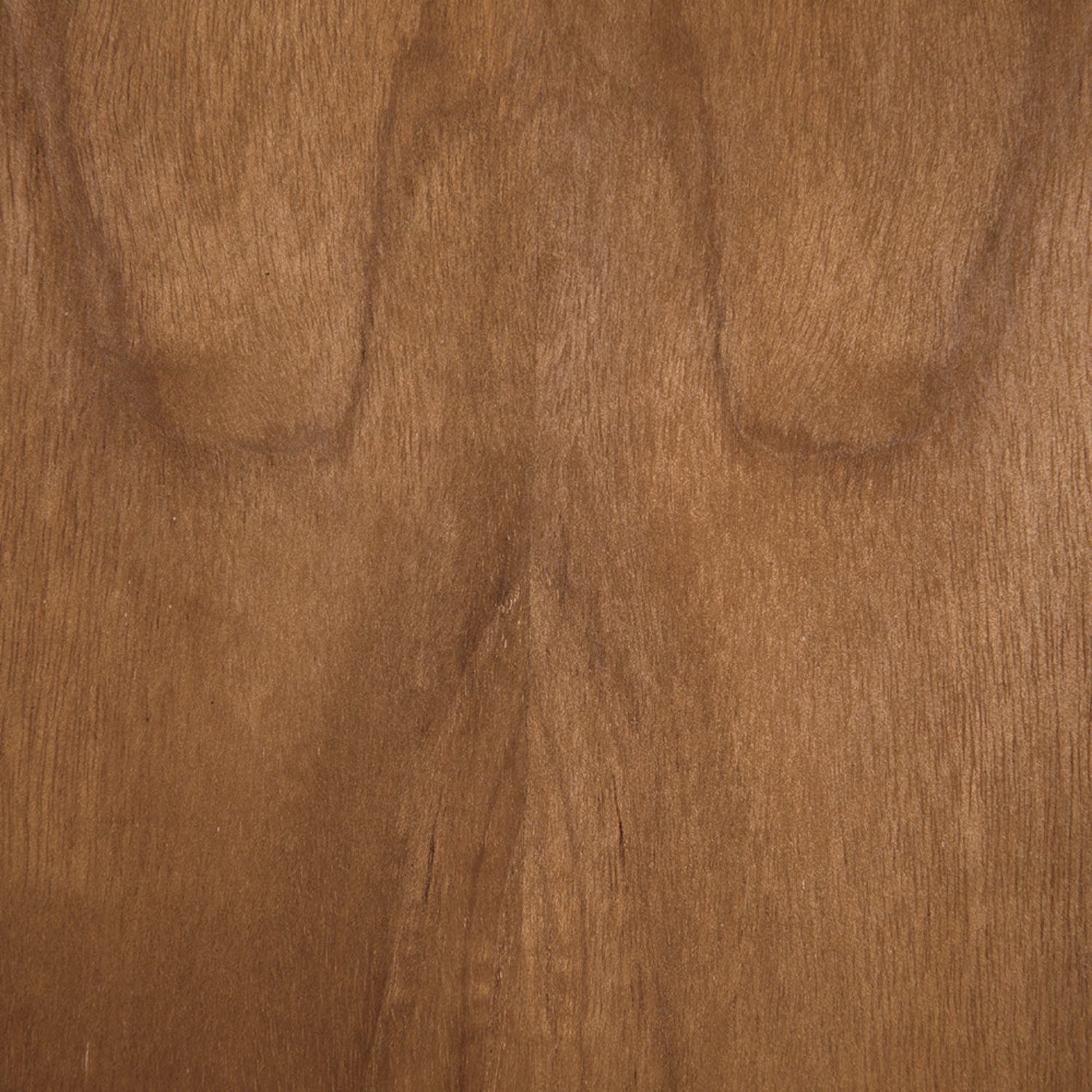 Jackson Shelf, teak and mindi construction