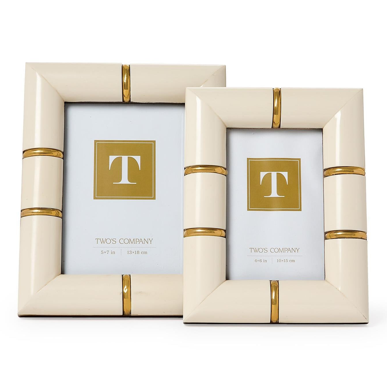 Faux Bone Frame Set of 2