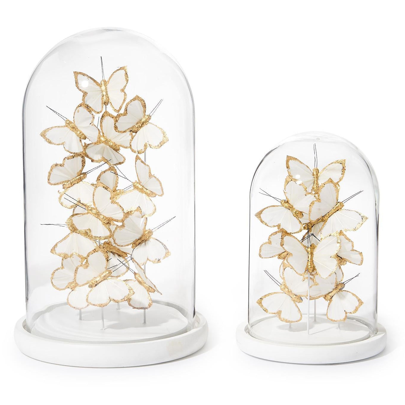 Gold/White Butterfly in Round Dome Set of 2