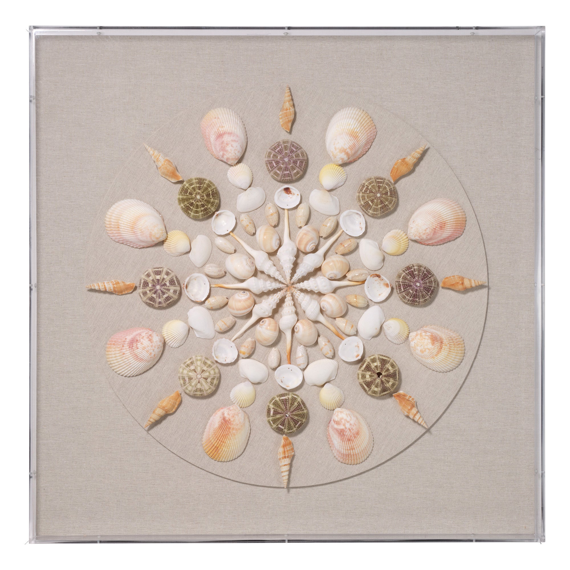 Jamie Young Miramar Pale Pink and Natural Shell Wall Art