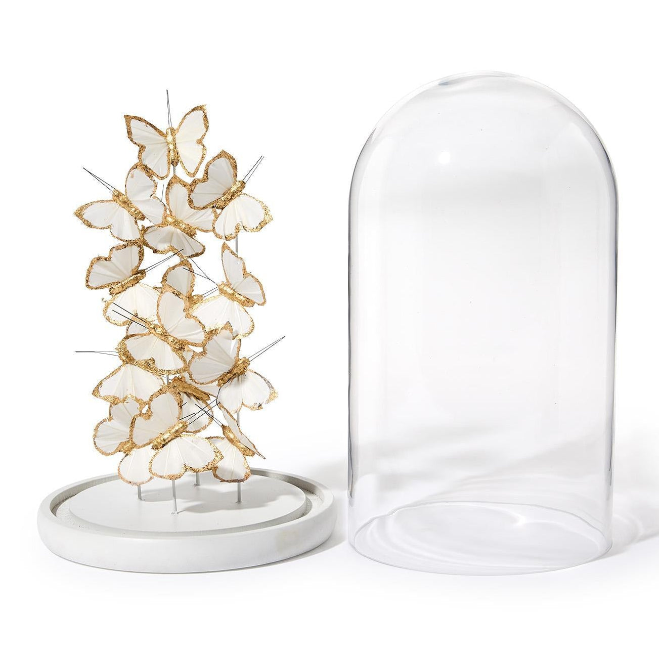 Gold/White Butterfly in Round Dome Set of 2