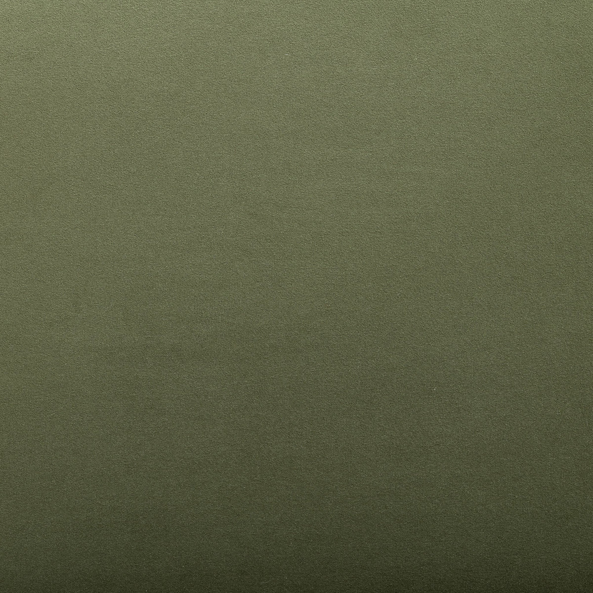 TOV Furniture Foxy Green Performance Dining Chair
