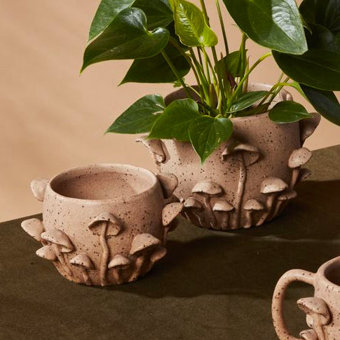 mushroom succulent pot Mushroom Forest Pot