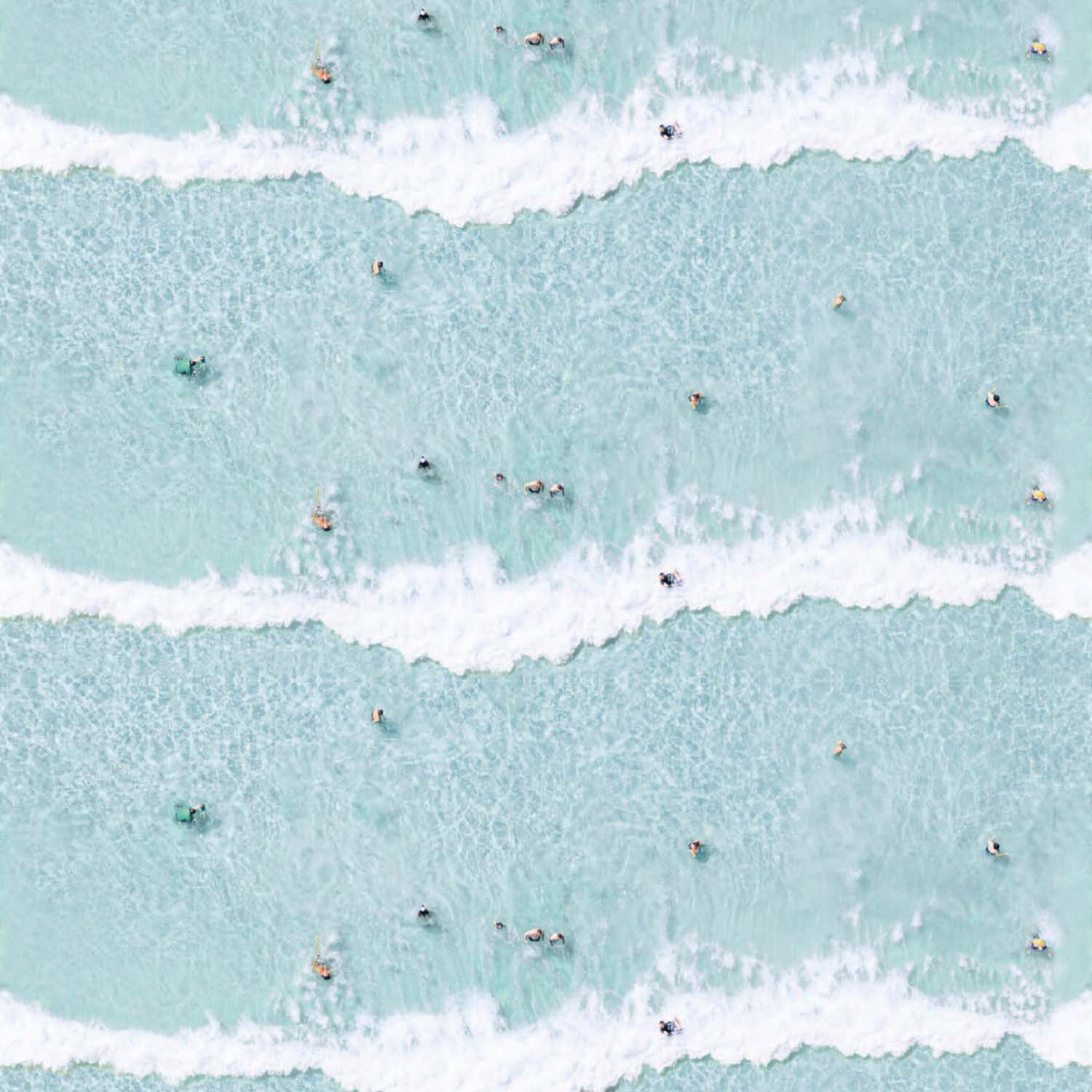 Mitchell Black x Gray Malin Ocean Swimmers Wallpaper