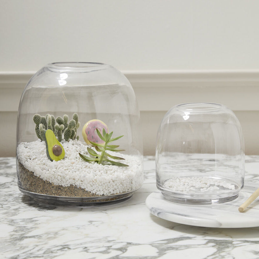Oliver Terrarium, a clear glass home decor accent