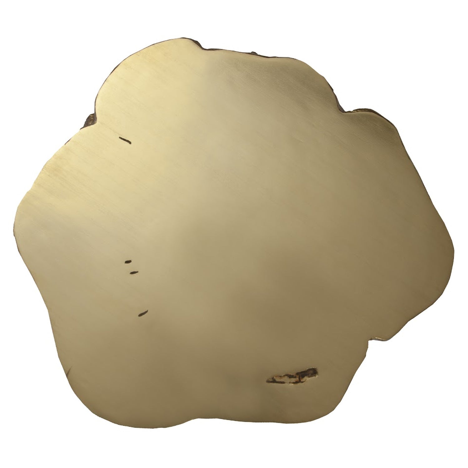 Phillips Collection Log Coffee Table