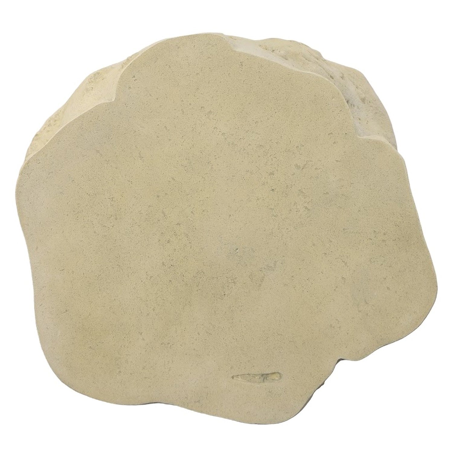 Phillips Collection Log Coffee Table