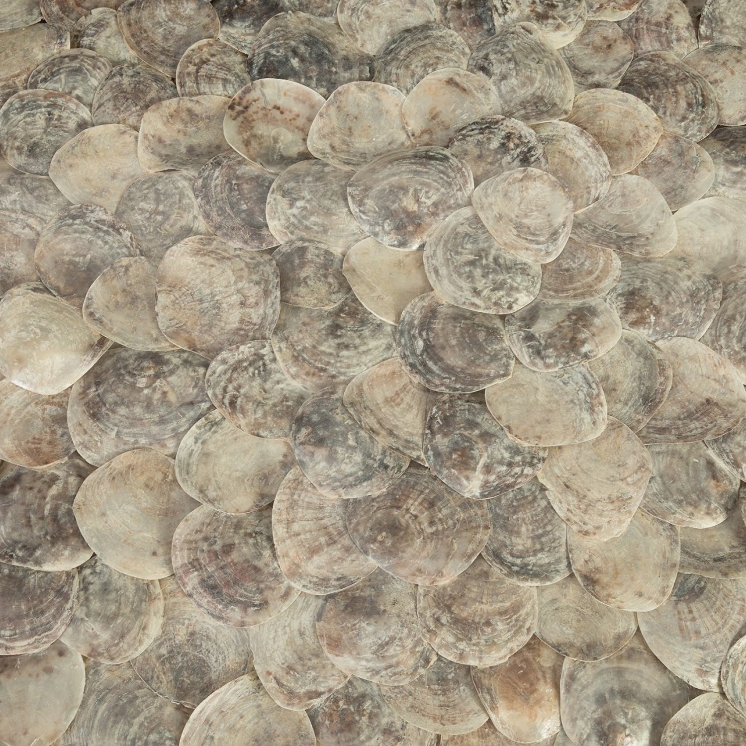 Phillips Collection Shell Coffee Table