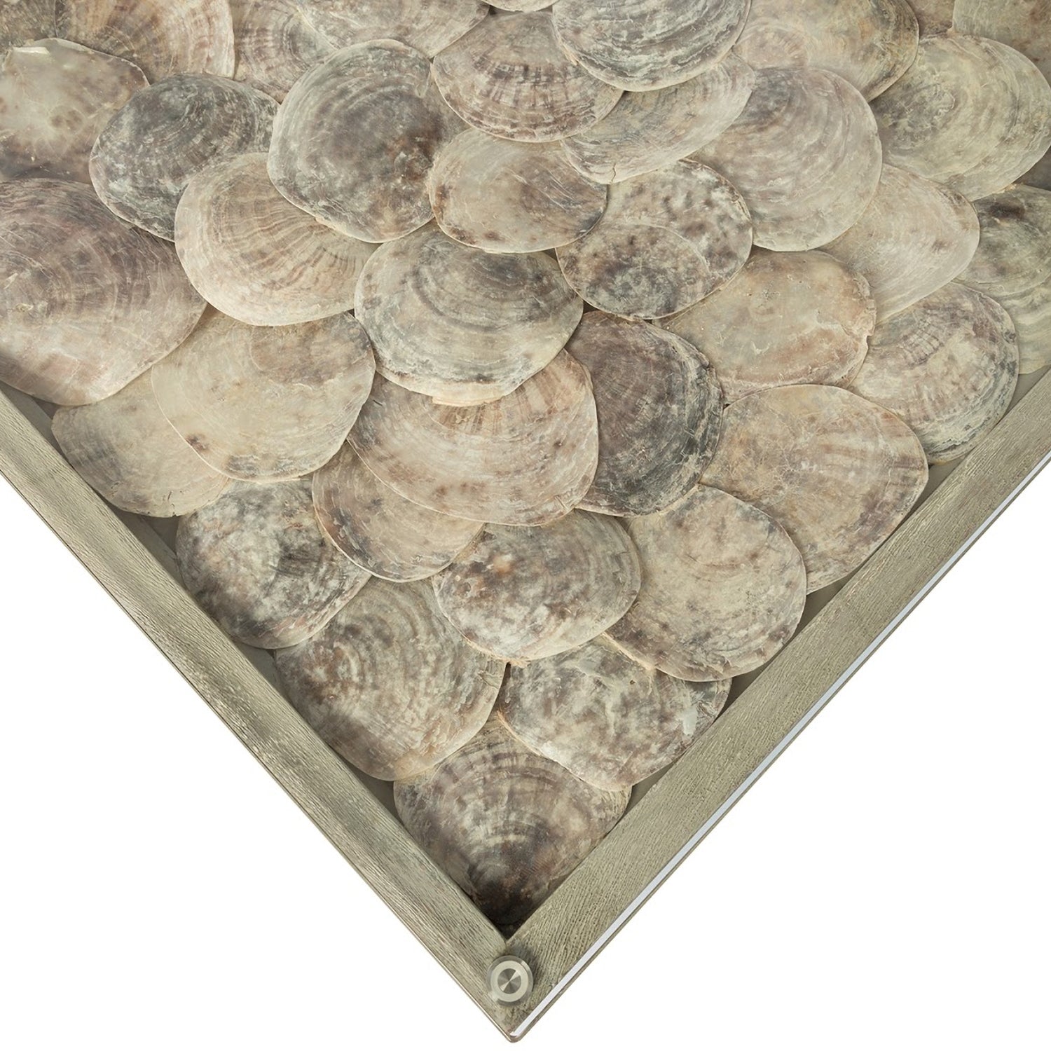 Phillips Collection Shell Coffee Table