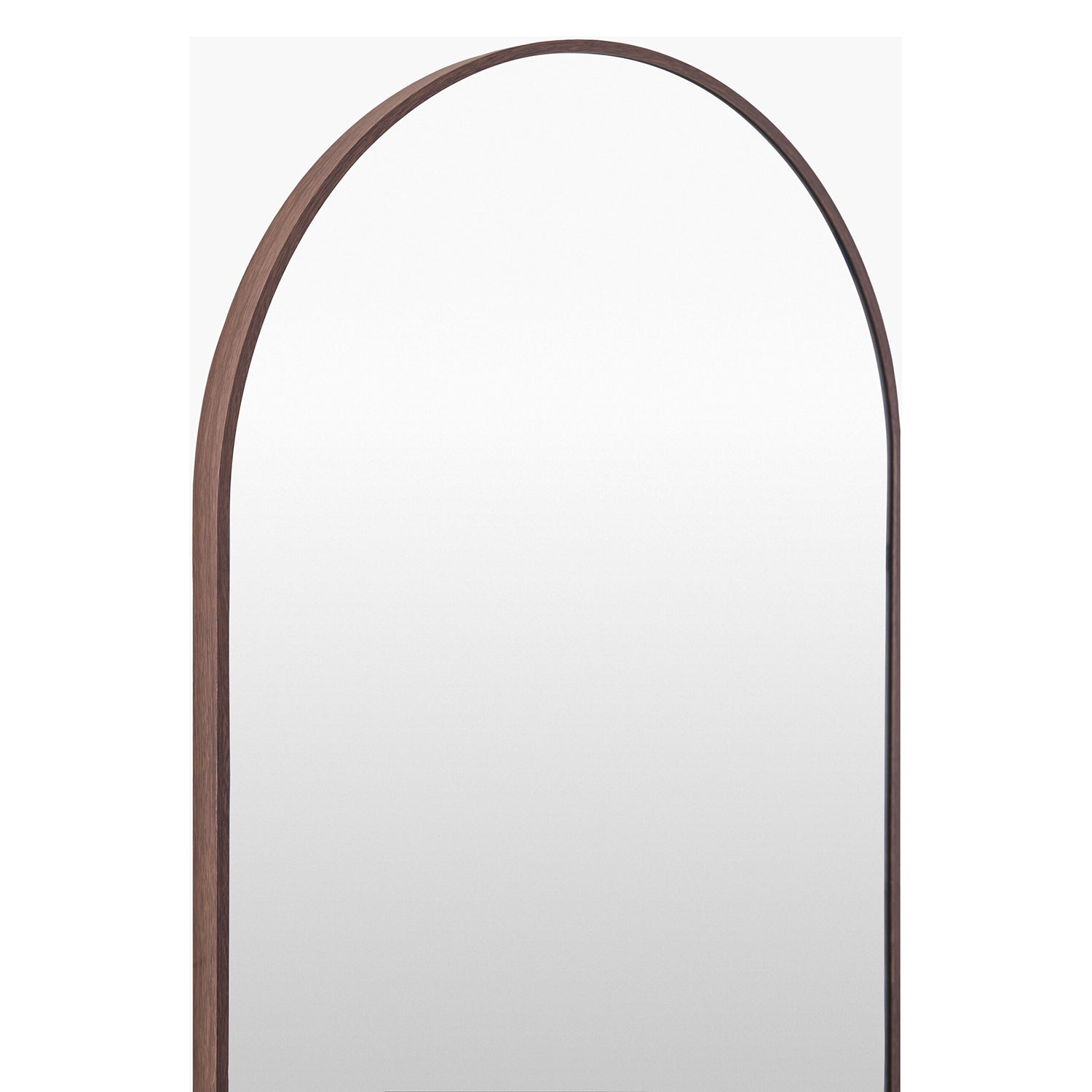 Aranya Oval Wall Mirror