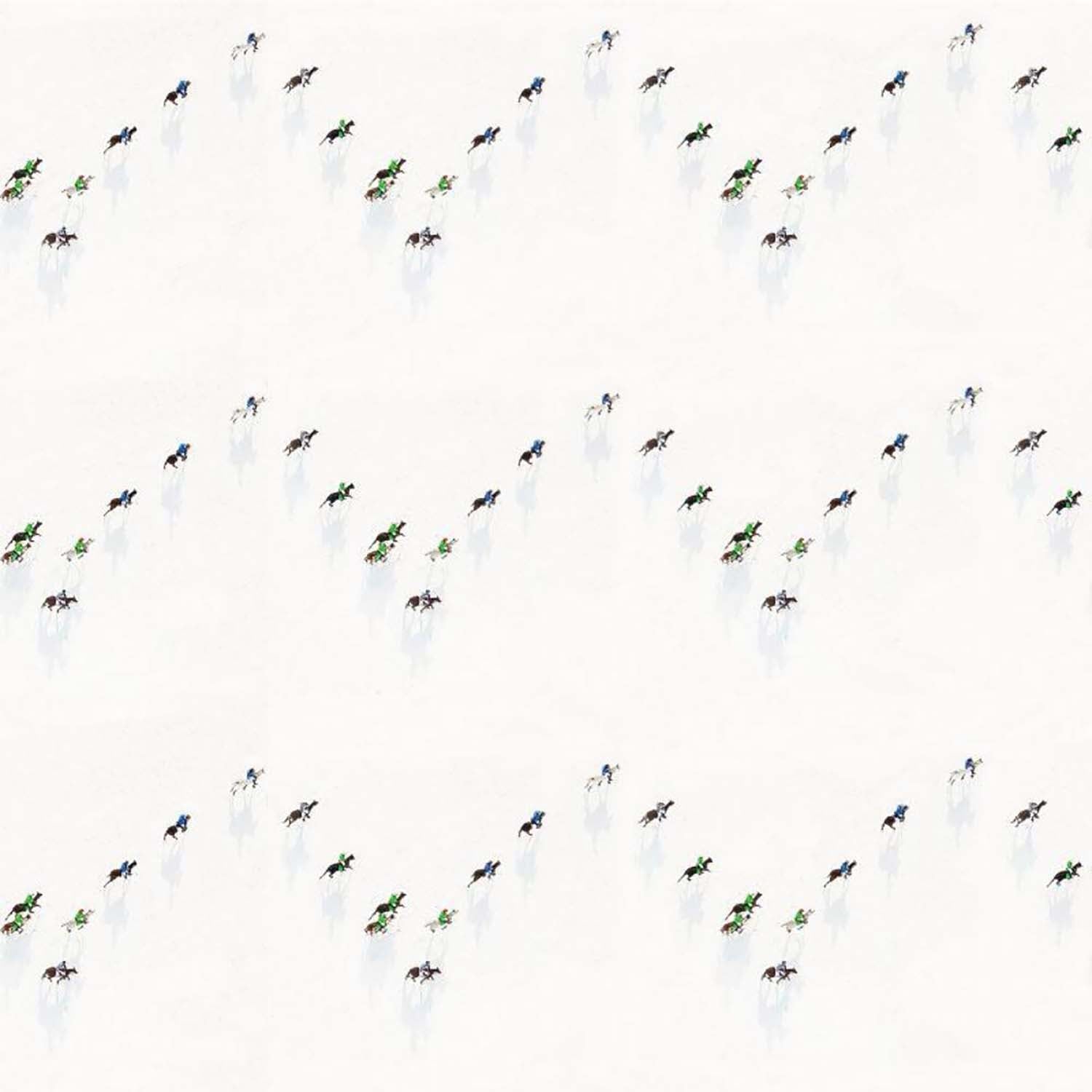 Mitchell Black x Gray Malin Snow Polo Wallpaper