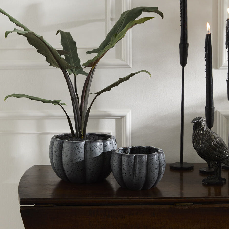 Spiced Pumpkin Pot Set of 4