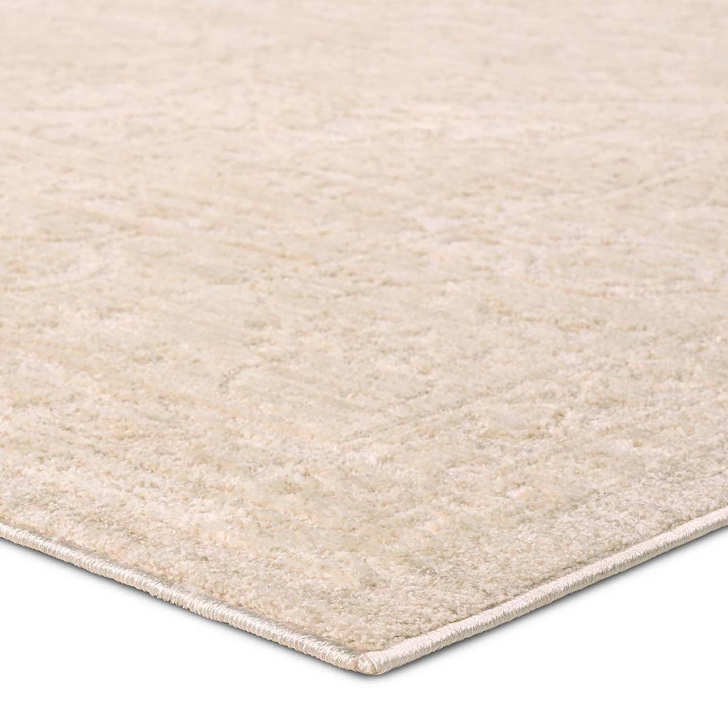 Jaipur Living Serenita Beyza Power Loomed Rug