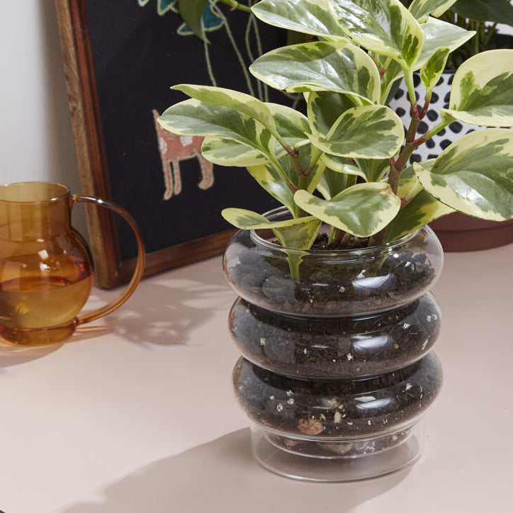 Stacked Rings Glass Pot with Saucer shown as a styled home décor accent