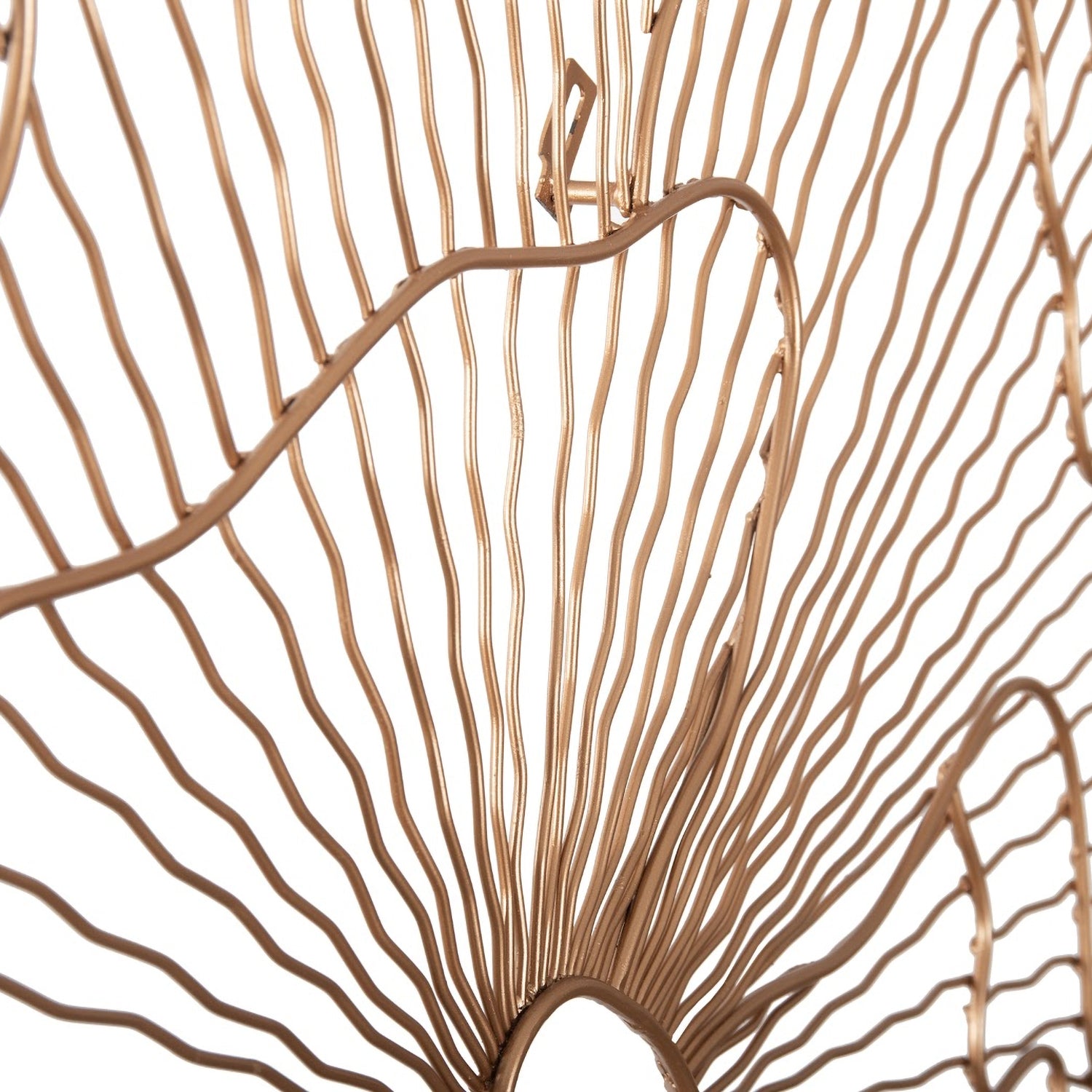 Phillips Collection Poppy Flower Wall Art