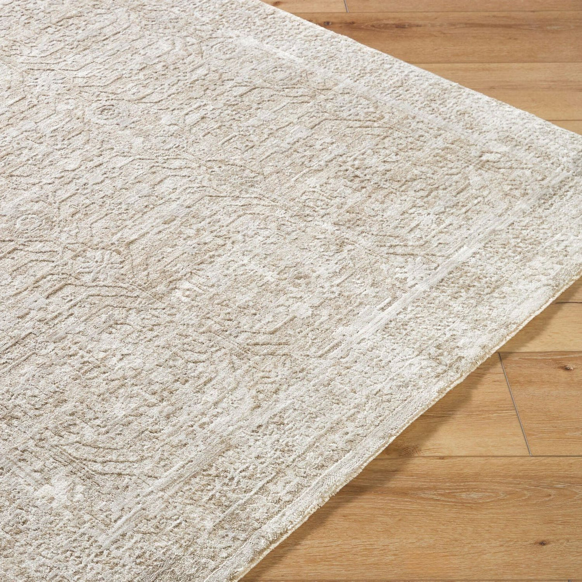 Livabliss Beth VVBE-2301 Machine Woven Rug