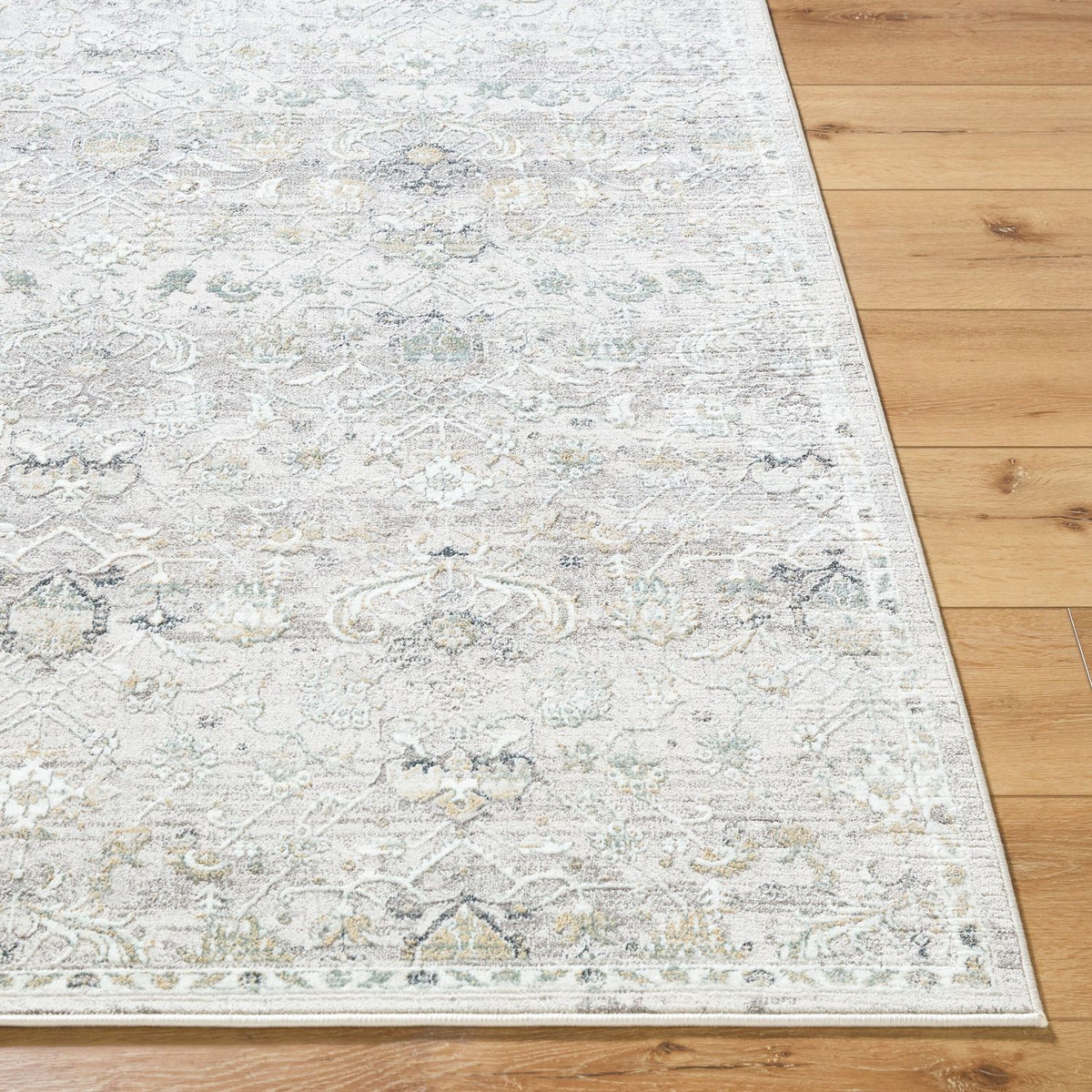 Livabliss Lorenz LTZ-2301 Machine Woven Rug