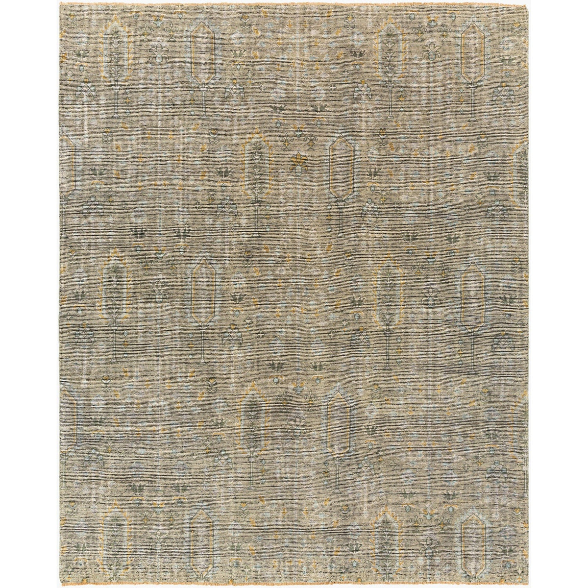 Surya Reign REG-2302 Hand Knotted Rug from the Reign collection in Sage, Brown, Pale Blue, Light Olive, Light Beige, Black