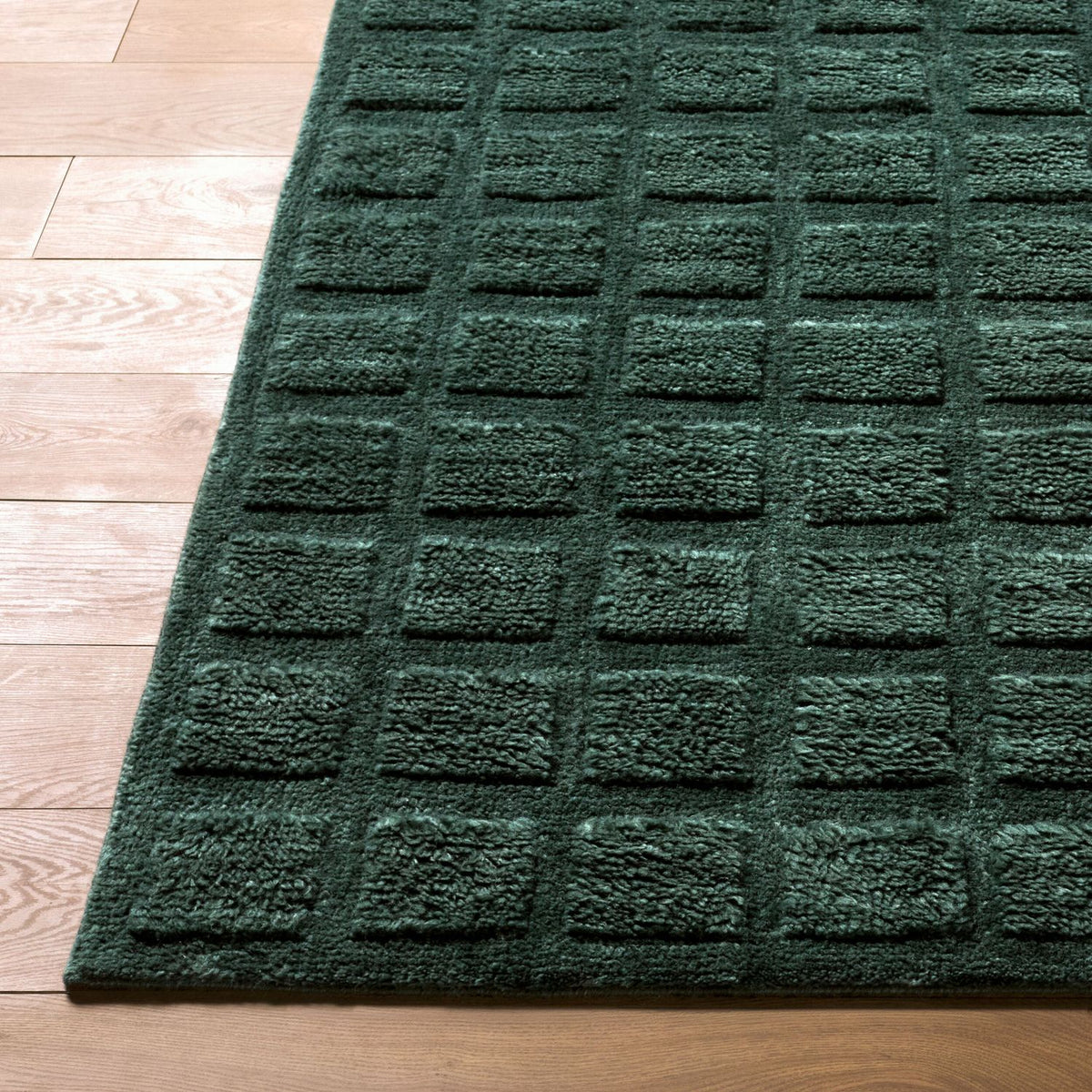 Livabliss Eleve EEV-2302 Hand Woven Rug