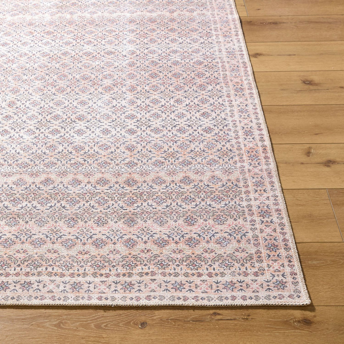 Livabliss Amelie AML-2405 Machine Woven Rug