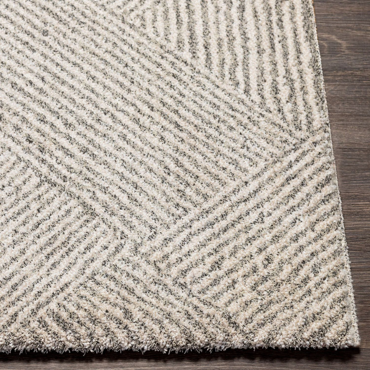 Livabliss Gavic GVC-2304 Machine Woven Rug