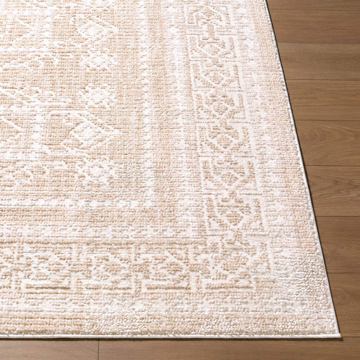 Elle Decor x Livabliss Odeon EDOD-2303 Machine Woven Rug