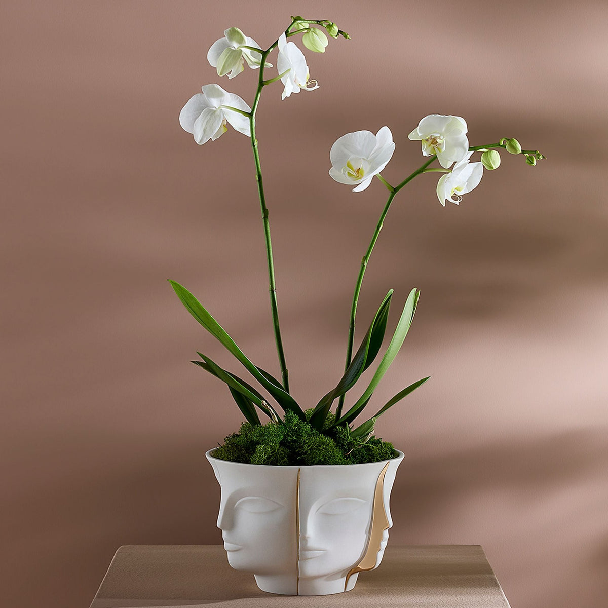 Jonathan Adler Atlas Split Bowl