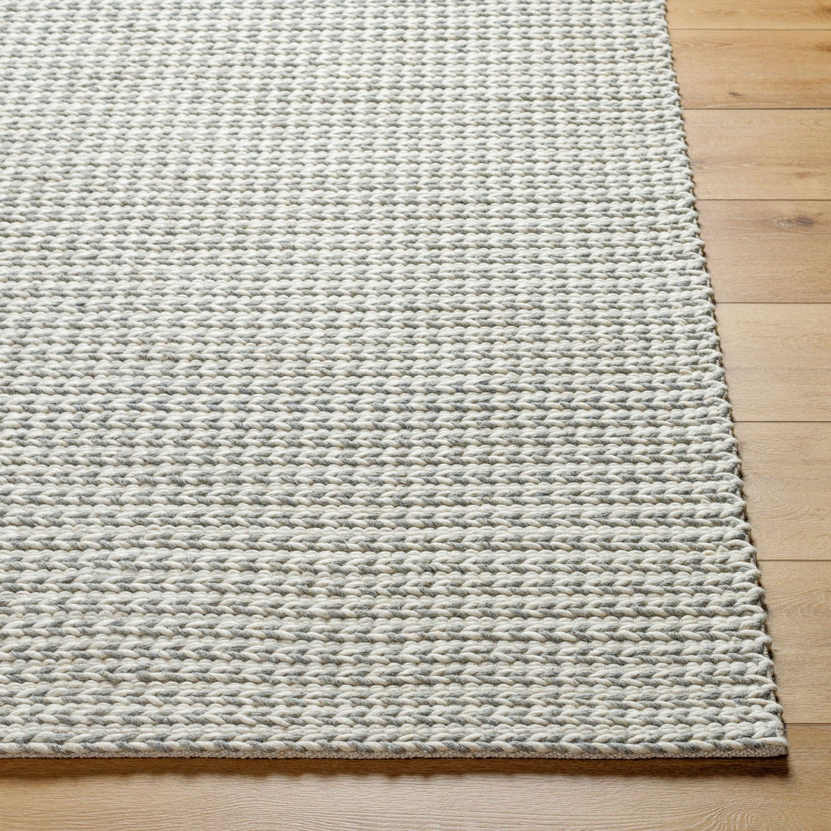 Livabliss Sundance SDC-2304 Hand Woven Rug